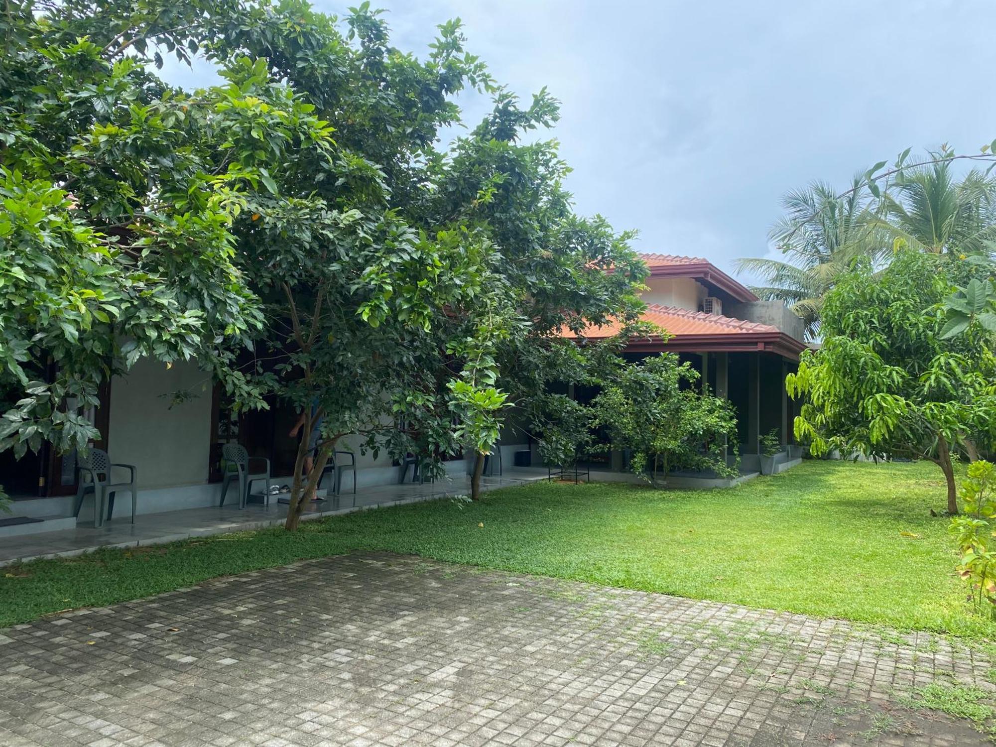 Negombo 146 Homestay Εξωτερικό φωτογραφία