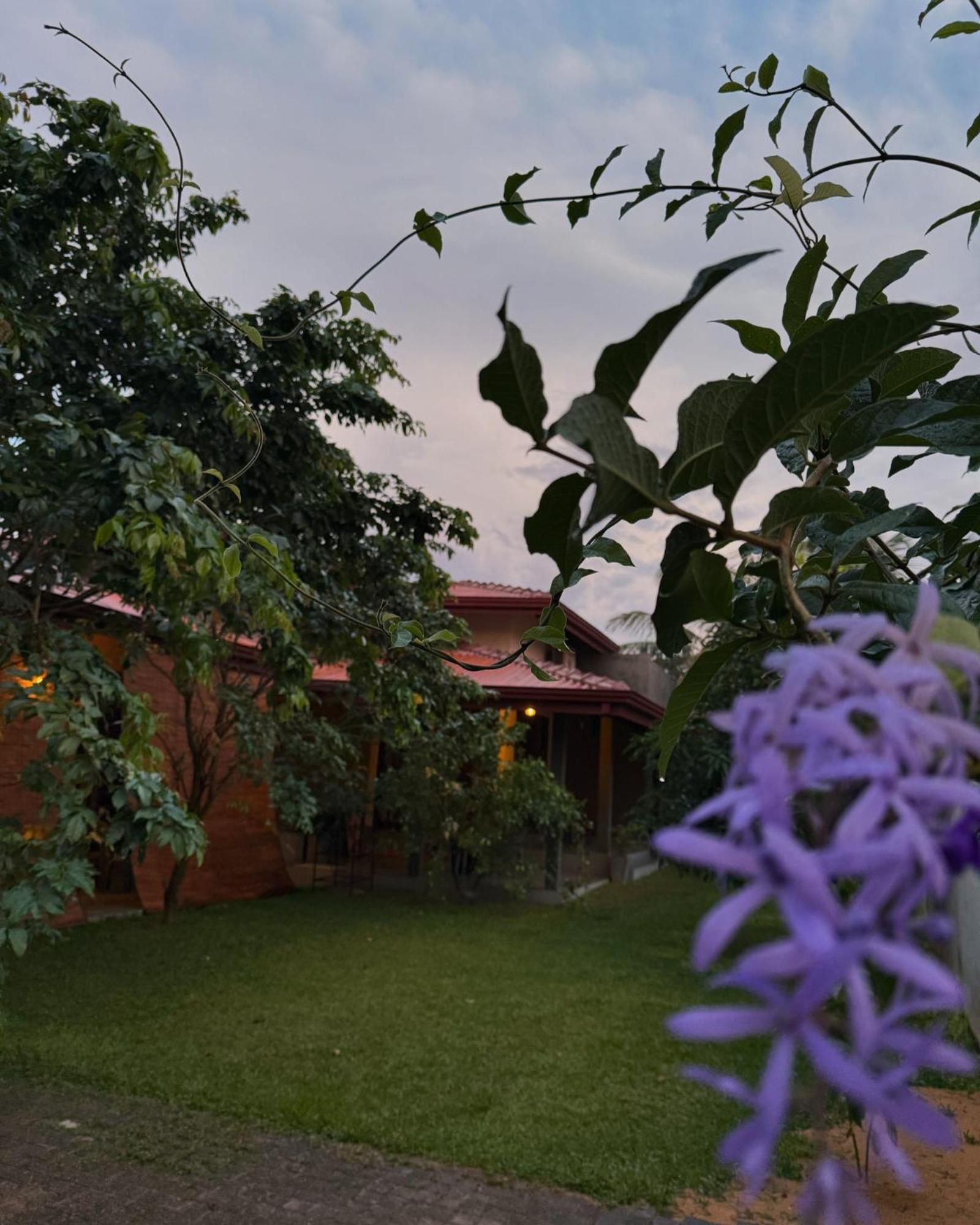 Negombo 146 Homestay Εξωτερικό φωτογραφία
